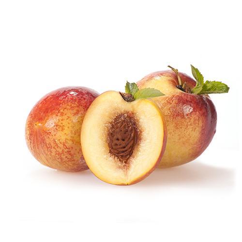 Nectarina Dispersa