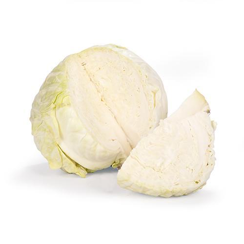 Repollo Blanco
