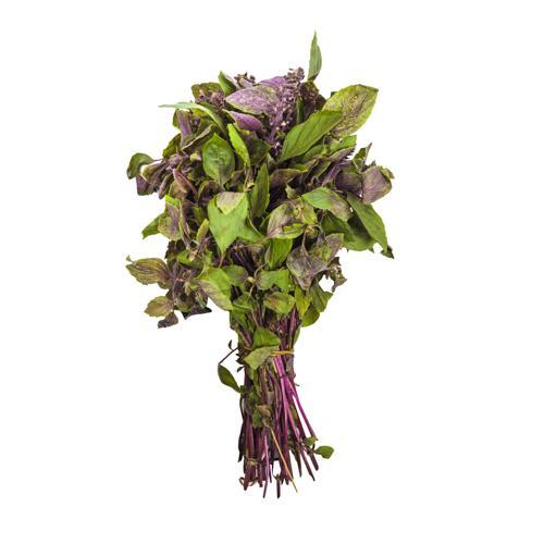 Albahaca Manojo