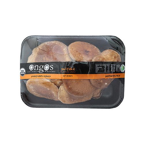 Champiñón Shiitake Ongo-S