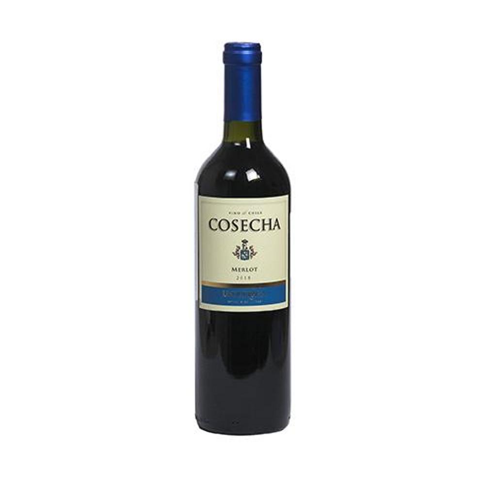 Vino Merlot Cosecha Undurraga