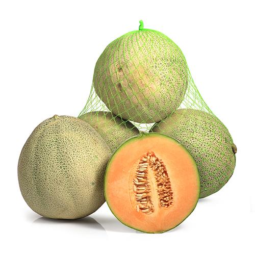 Mini Melón Red