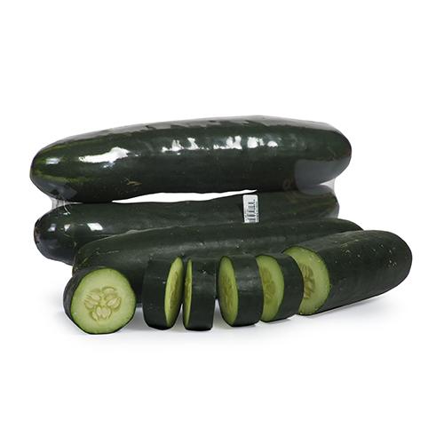 Pepino Sin Semilla Invernadero
