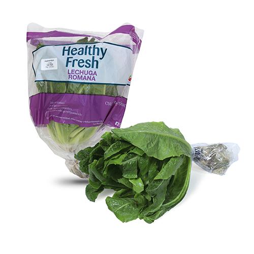 Lechuga Romana Multifresh Hidropónica