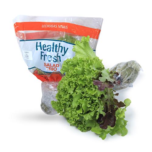 Lechuga Ensalada Trio Multifresh Hidropónica