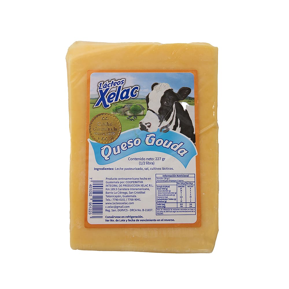 Queso Gouda Xelac