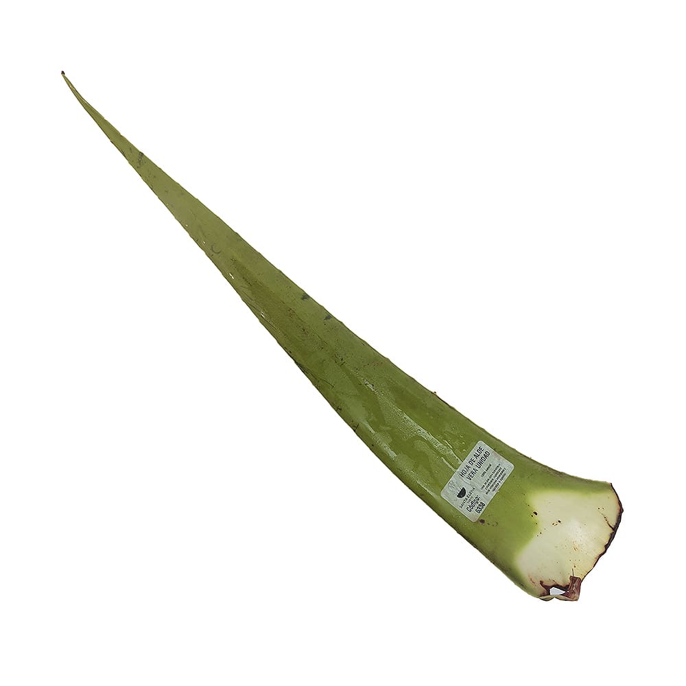Hoja De Sábila
