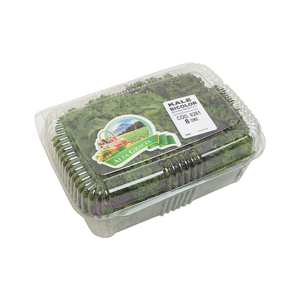 Kale Bicolor Alta Gracia