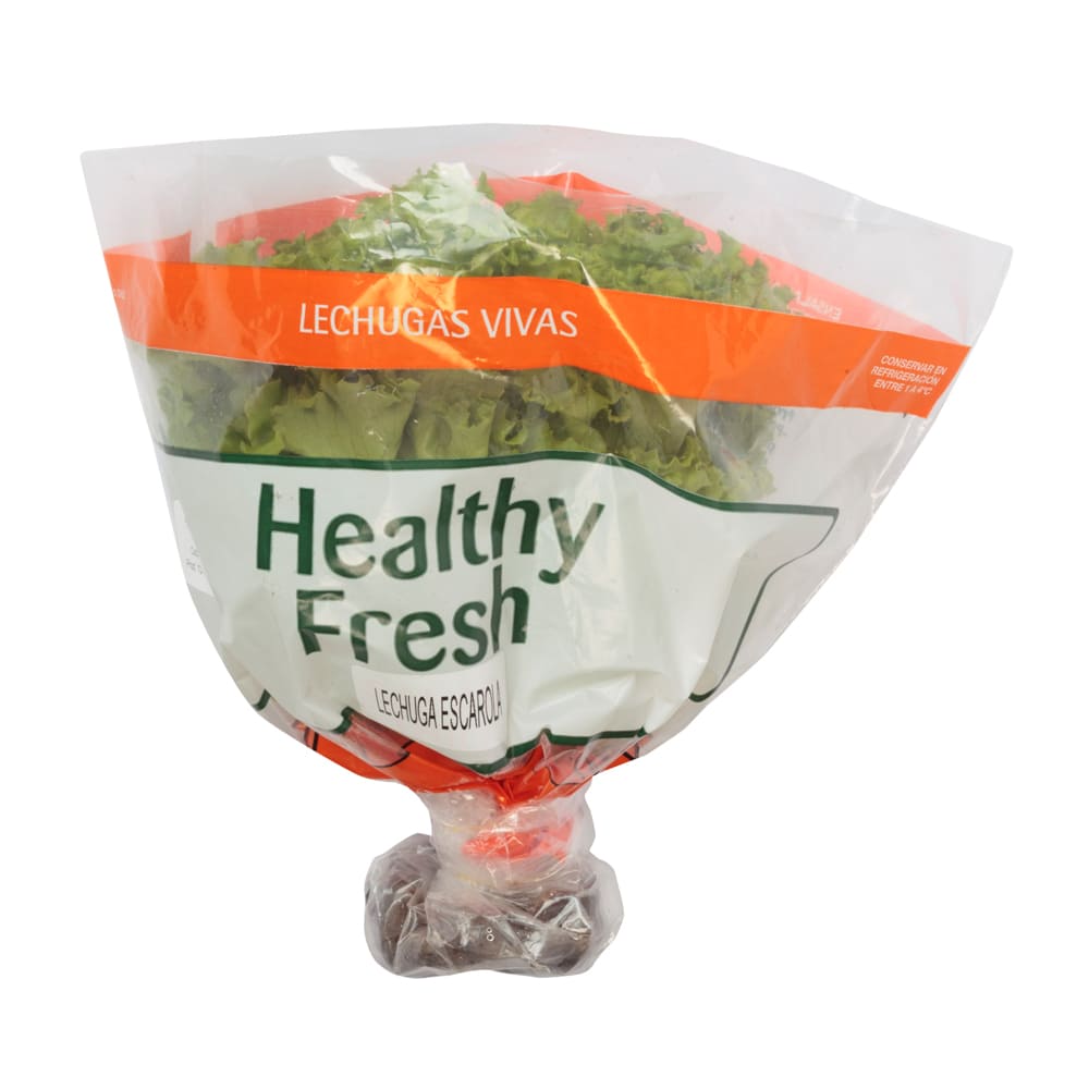 Lechuga Escarola Healthy Fresh Hidropónica