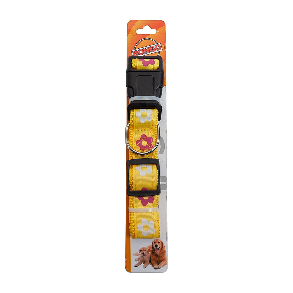 Collar Con Diseño Bongo