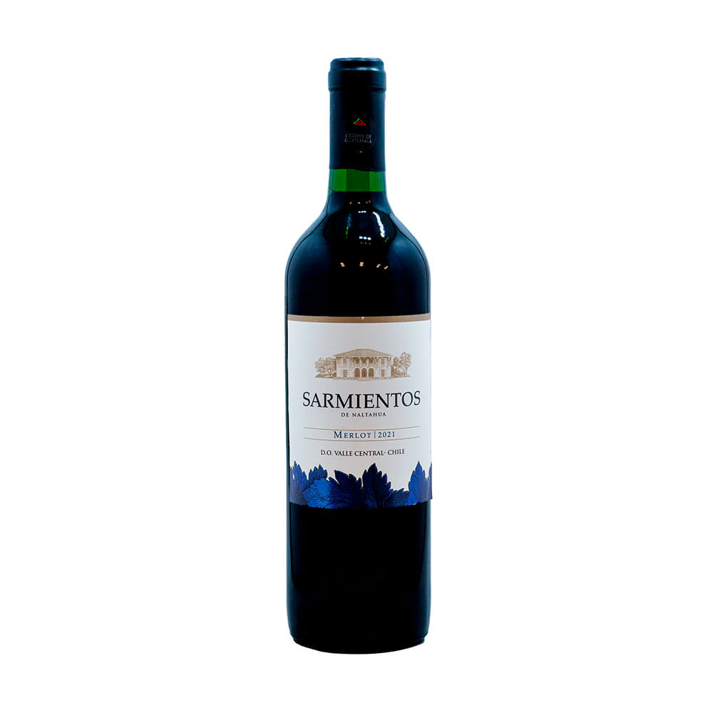 Vino Merlot Sarmientos