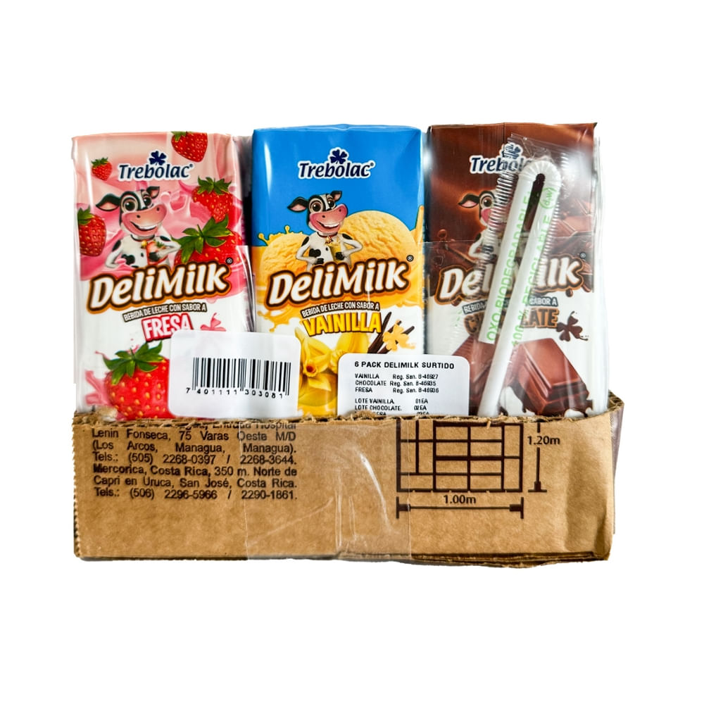 Bebida Láctea Saborizada Surtida Delimilk