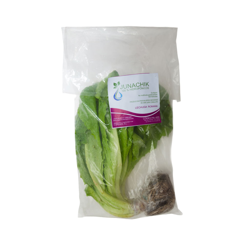 Lechuga Romana Hidropónica Junachik