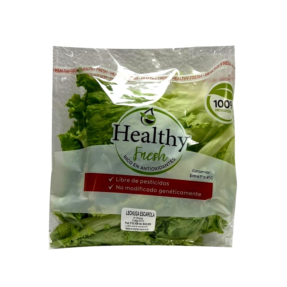 Escarola Hidropónica Healthy Bolsa